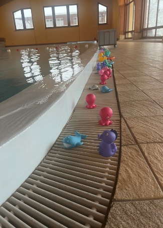 Schwimmen 1